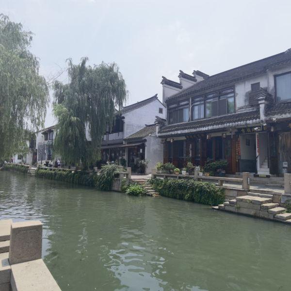 胖小猫救援